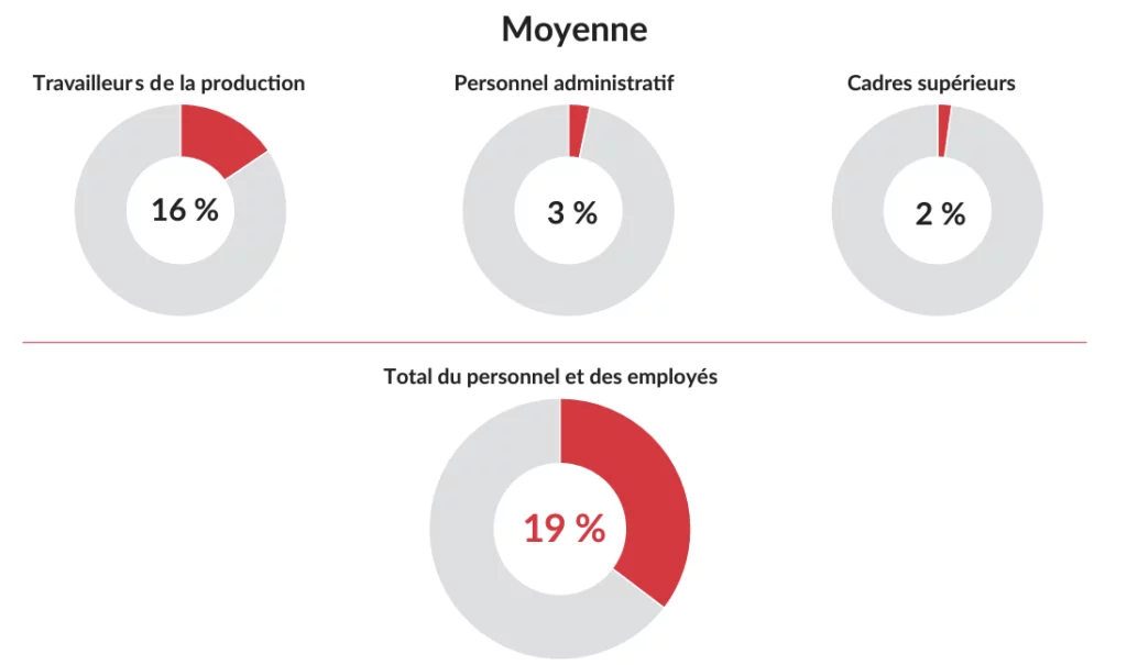 Travailleurs de la production: 16%, Personnel administratif: 3%, Cadres supérieurs: 2%, Total du personnel et des employés: 19%